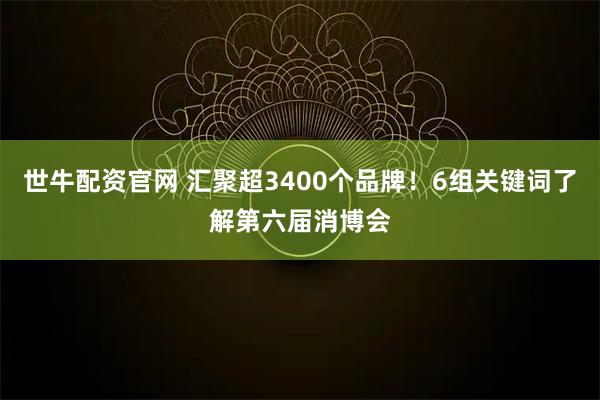 世牛配资官网 汇聚超3400个品牌！6组关键词了解第六届消博会